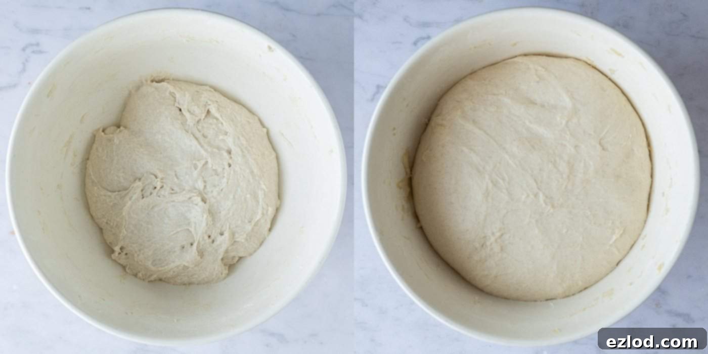 step 3 - letting the dough rise