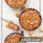 Irish cream salted caramel chocolate mousse oreo tarts
