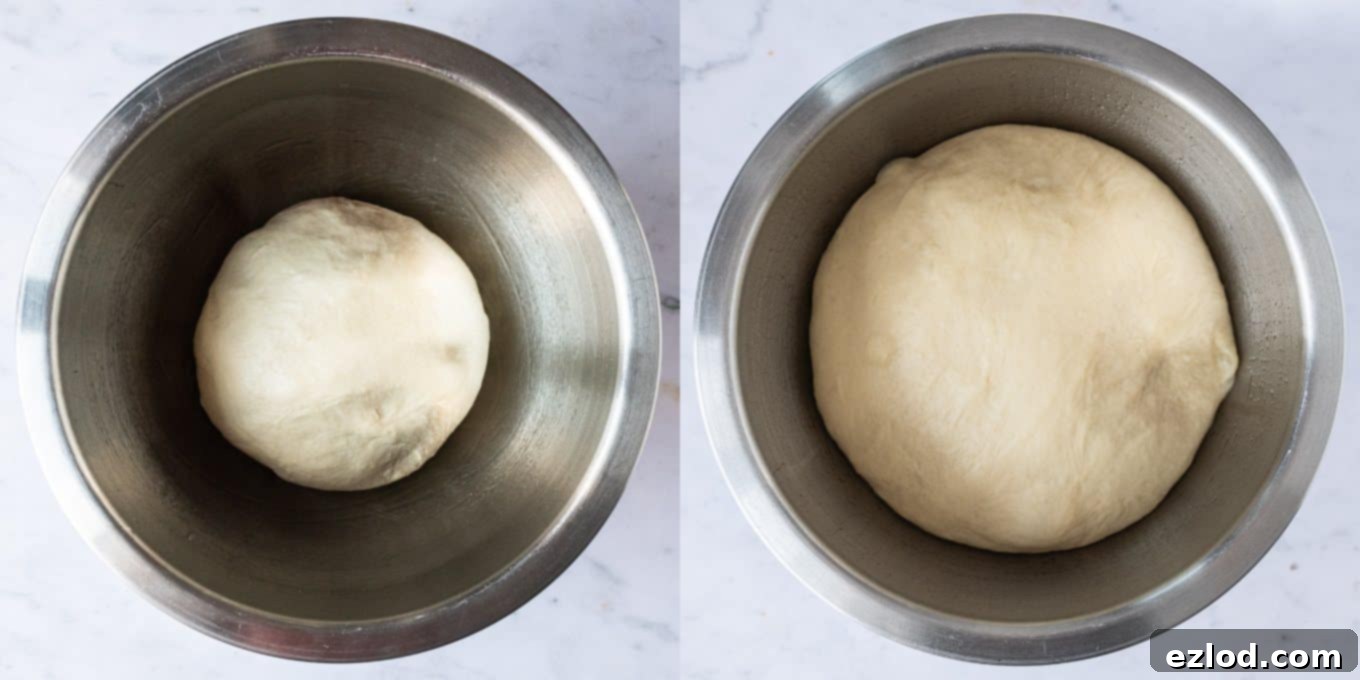 Step 3: The babka dough after its overnight rise in the refrigerator, showing its doubled size and readiness for the next steps.