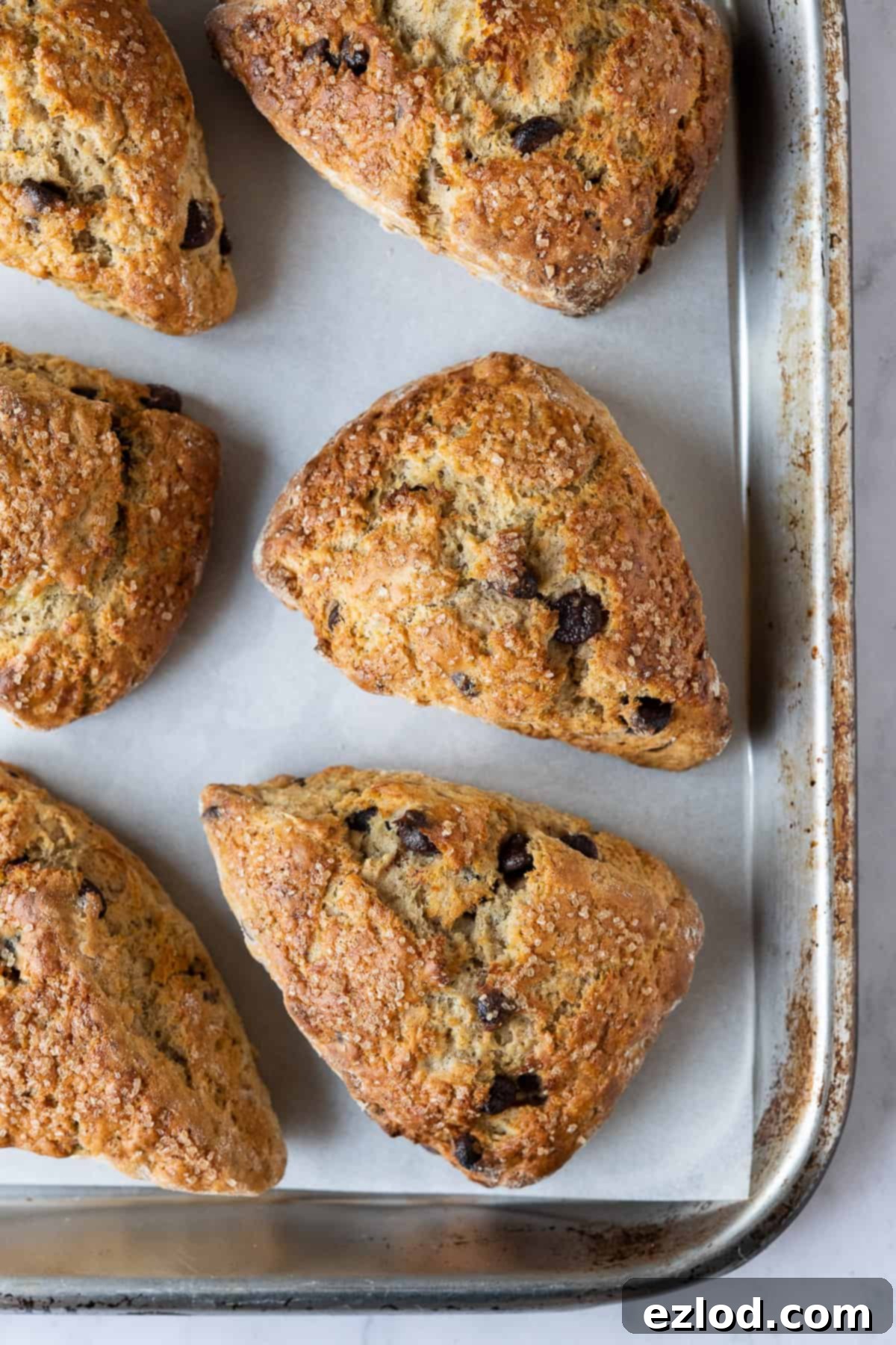 A batch of golden-brown vegan banana scones with chocolate chips resting on a metal baking sheet, ready to be enjoyed.