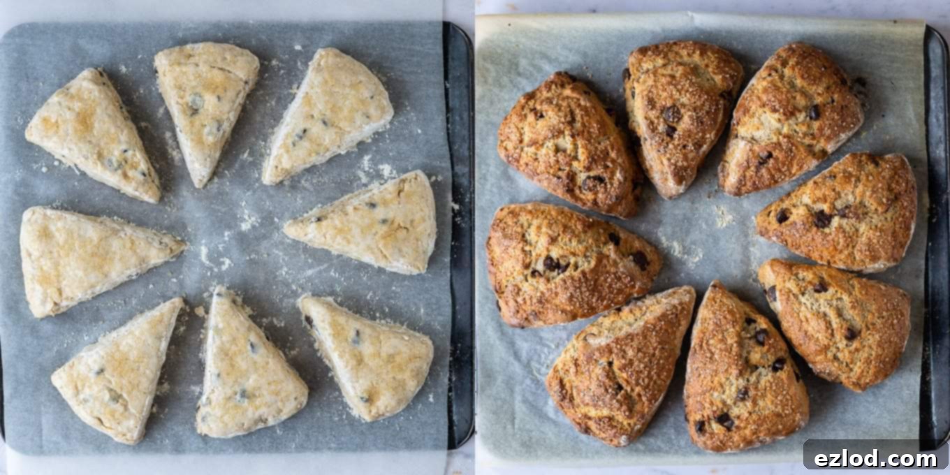 Step-by-step image showing vegan banana scones baking in the oven, rising and turning golden.