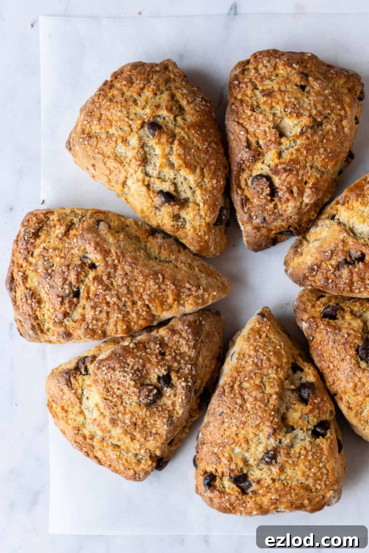 Warm chocolate chip banana scones arranged appealingly in a circle on a baking surface.