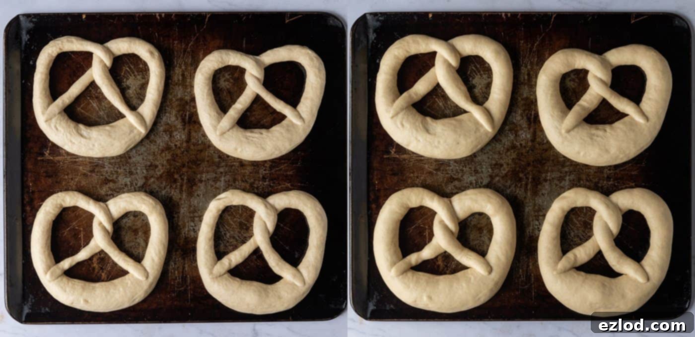 Step-by-step image showing shaped pretzels resting on a baking sheet, uncovered, during their second rise to form a skin.