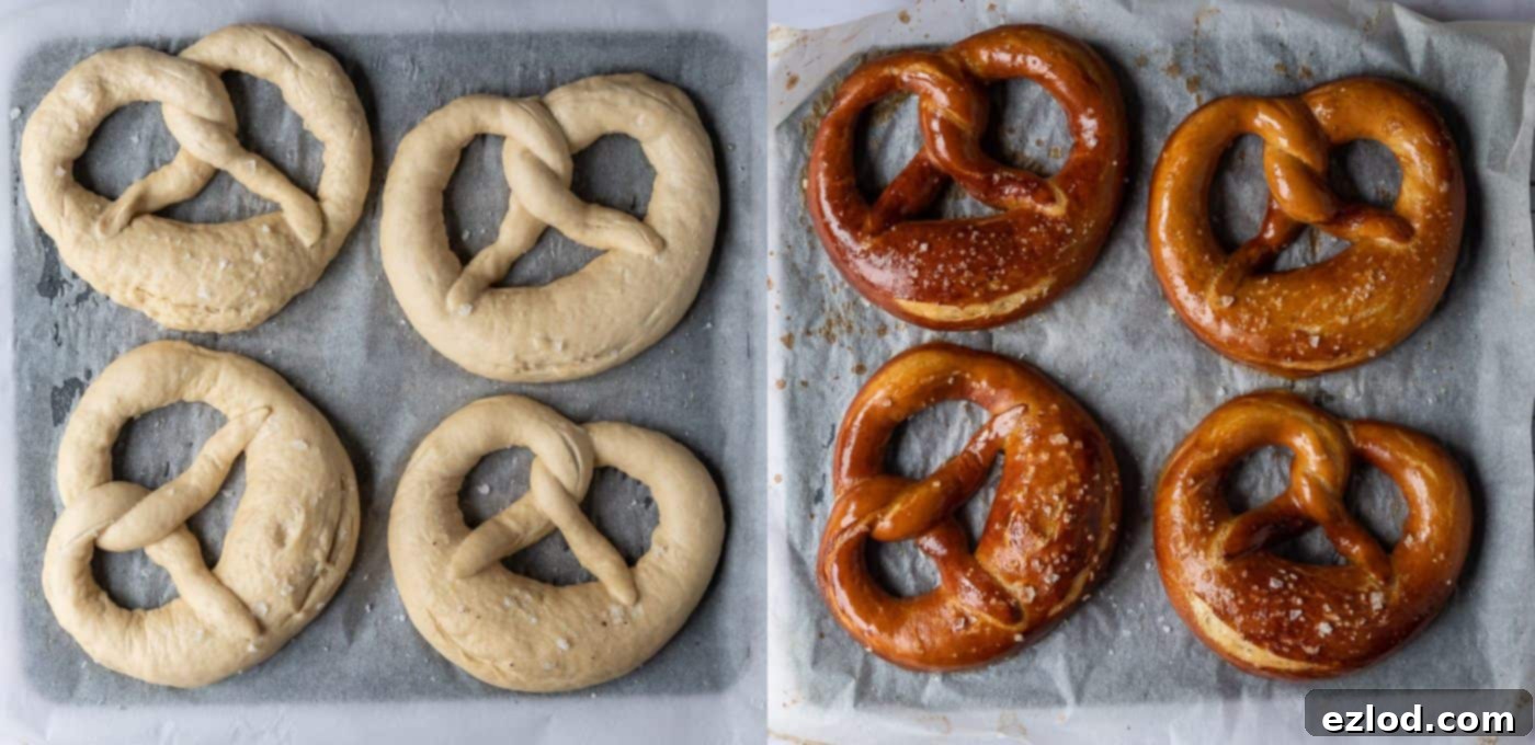 Step-by-step image of freshly salted pretzels baking in the oven, showing their beautiful deep brown crust.