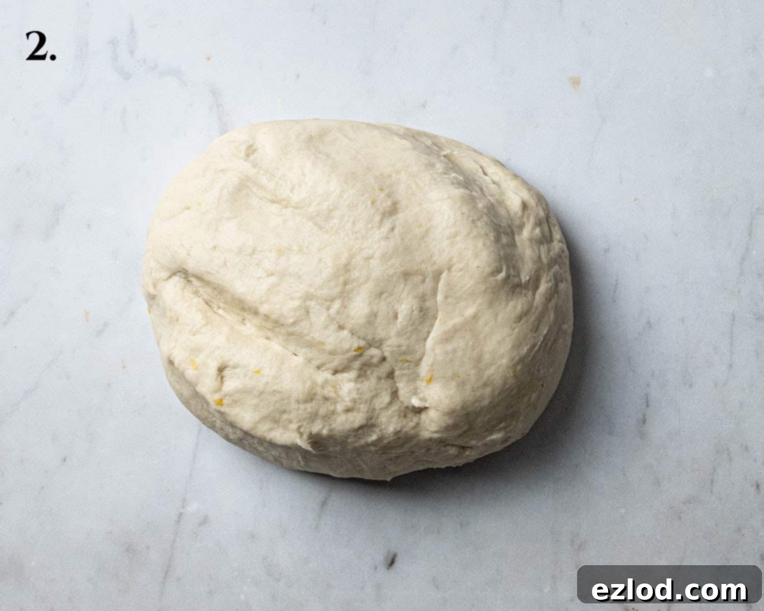 Step 2, the kneaded dough.