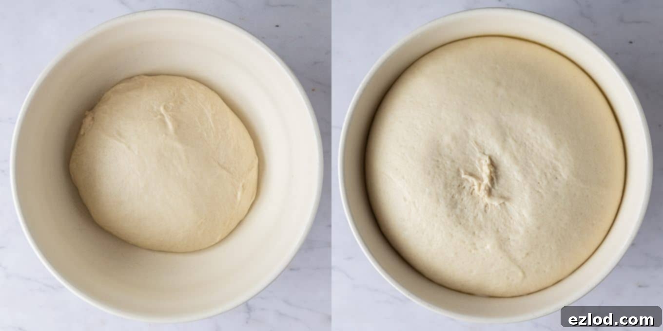 step 2 - letting the dough rise