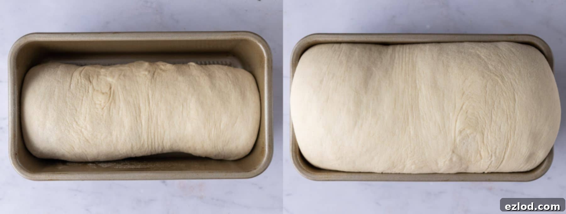 The loaf of vegan sandwich bread, having undergone its second rise, is now visibly expanded and ready for baking in the tin.