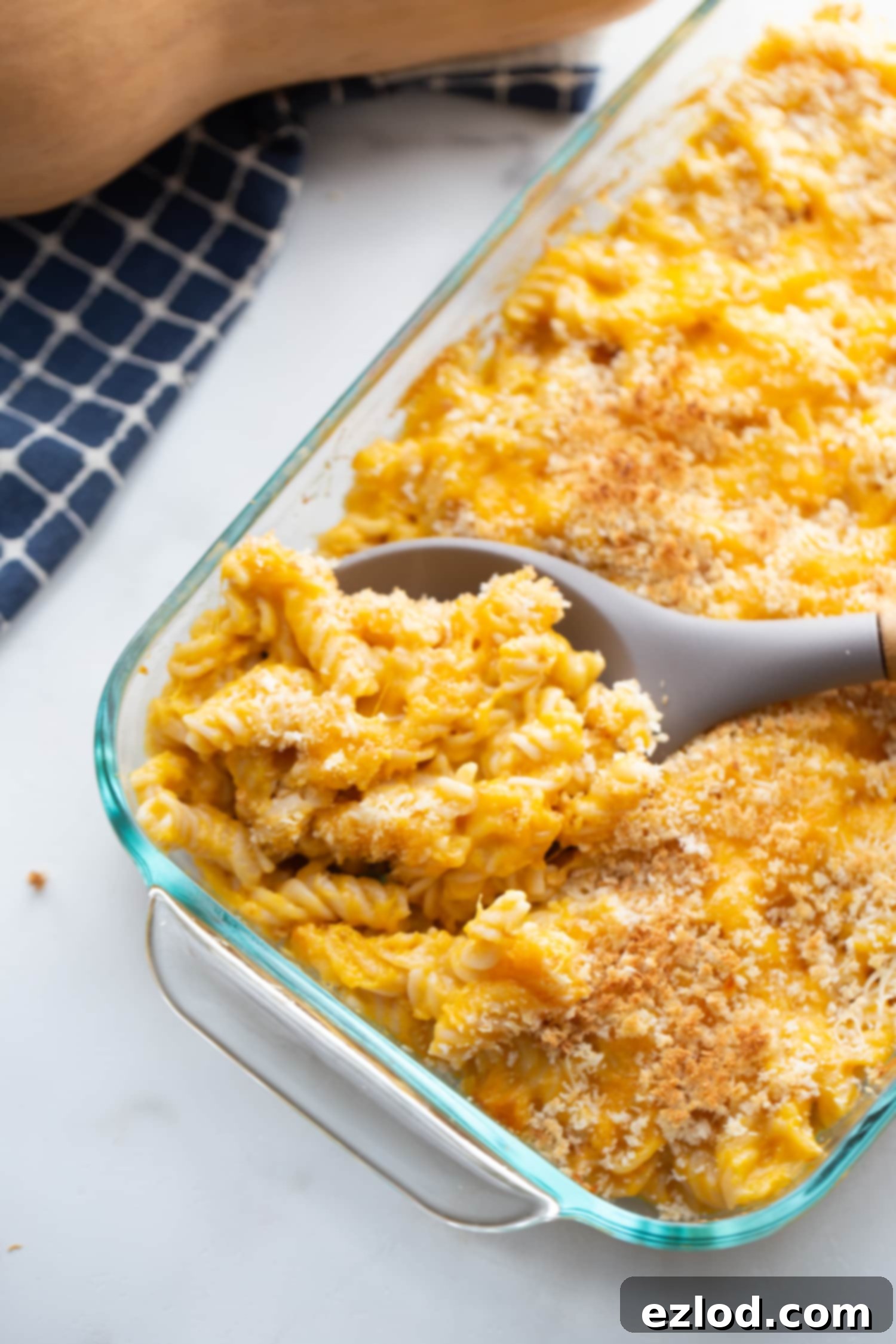 Glass baking dish of butternut squash mac and cheese topped with breadcrumbs with a gray serving spoon 