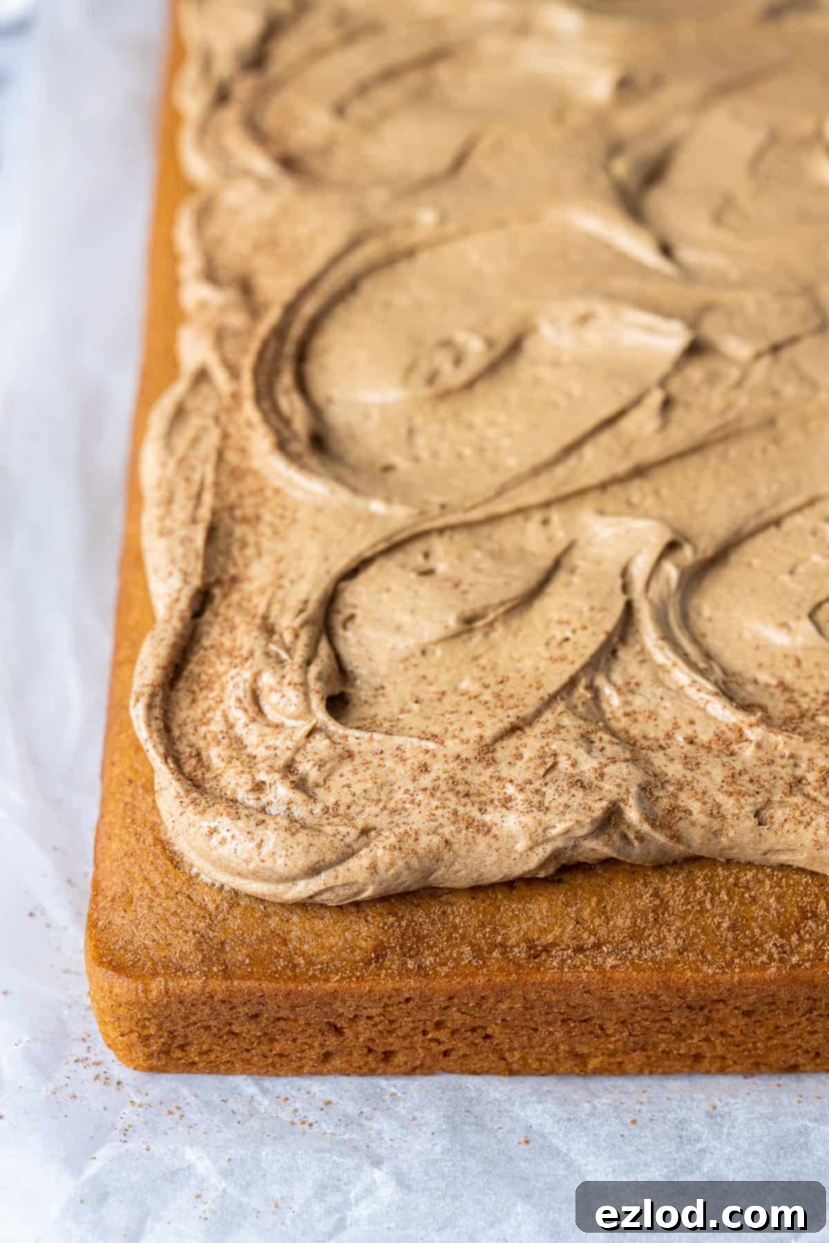 A close-up shot of the edge of the vegan pumpkin spice latte cake, highlighting the contrast between the moist golden-orange pumpkin cake and the creamy, thick coffee buttercream.