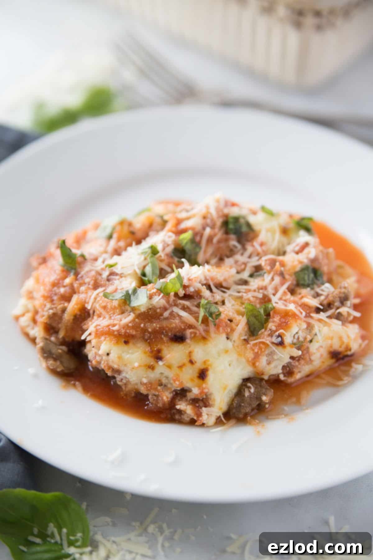 Low-Carb Spaghetti Squash Lasagna 7 Spaghetti squash lasagna on a white plate with sauce, ricotta cheese, and fresh basil.