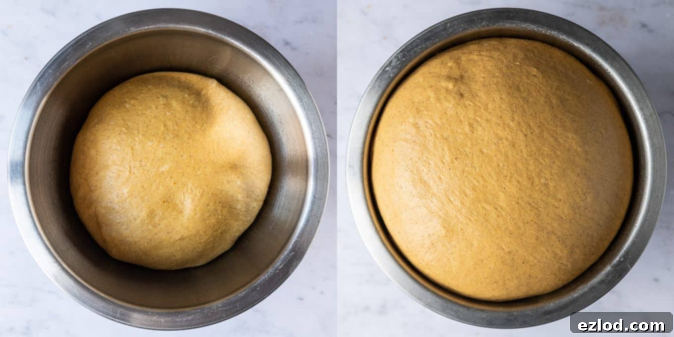 step 2 - letting the dough rise.