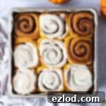 Pumpkin Spice Vegan Cinnamon Rolls 9 Vegan pumpkin cinnamon rolls in a metal baking tin on a grey background with mini pumpkins and a cup of coffee.