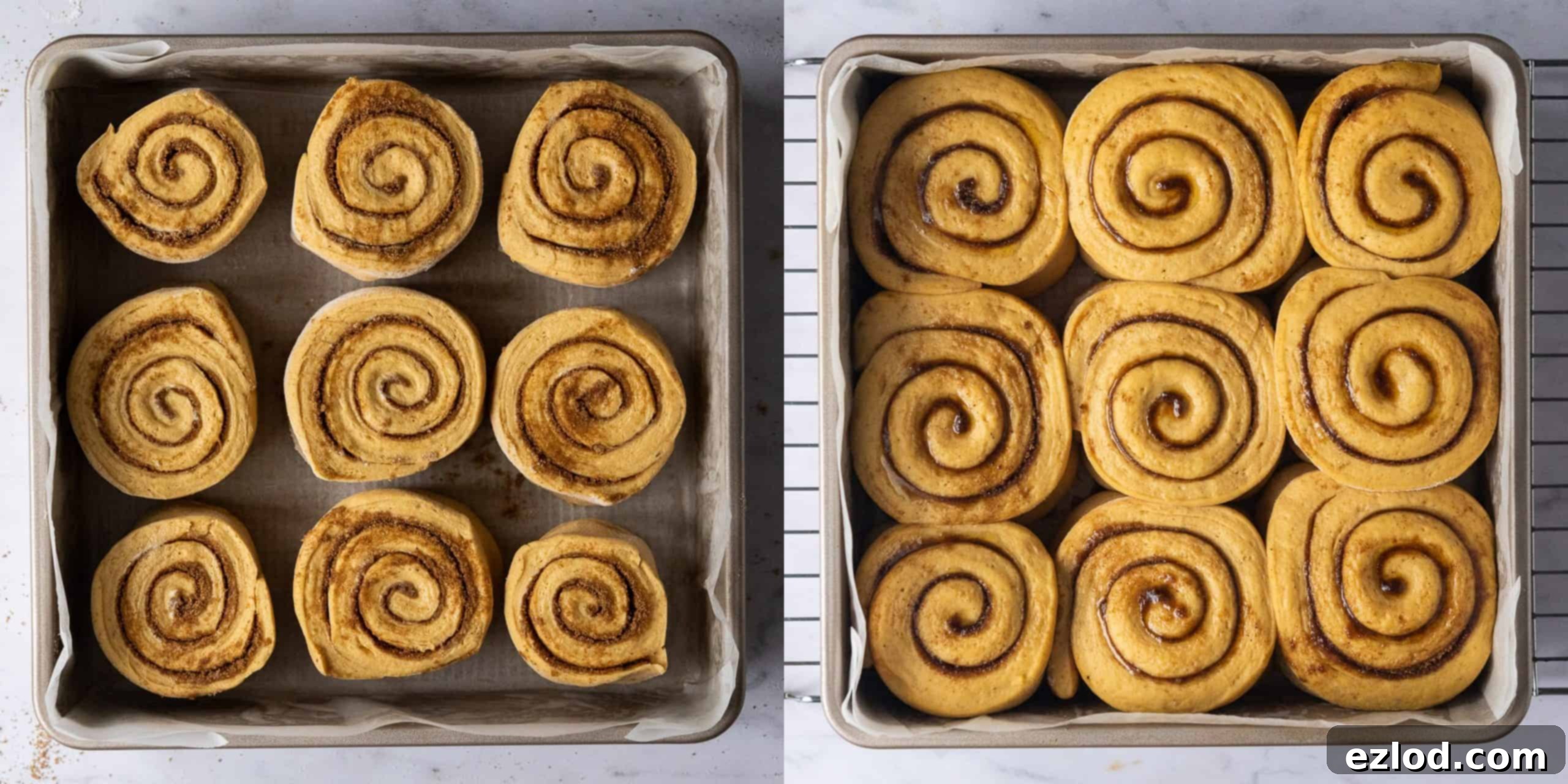 Step 7 in making vegan pumpkin cinnamon rolls: the unbaked rolls, covered loosely, are left to rise in a baking tin, appearing visibly puffy and expanded before baking.