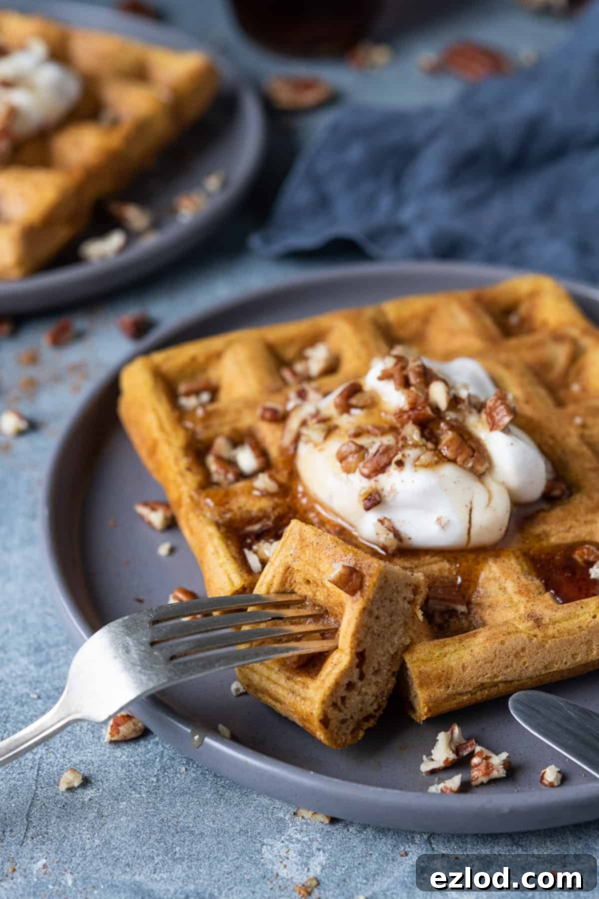 Two grey plates of vegan pumpkin waffles topped with yogurt, chopped pecans and maple syrup, one waffle with a forkful removes.
