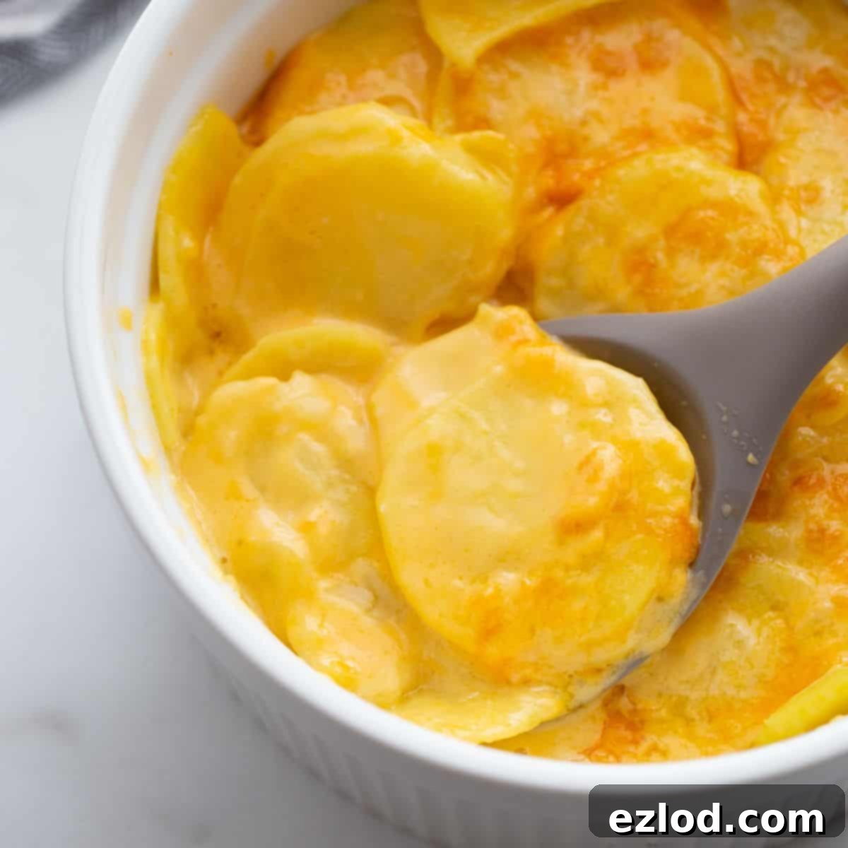 A ceramic bowl filled with golden-brown Instant Pot scalloped potatoes au gratin, topped with melted cheese.