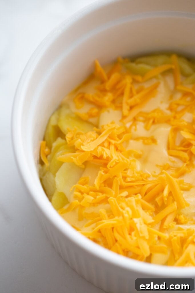 A casserole dish layered with scalloped potatoes and cheese sauce, topped with shredded cheese, ready for the broiler.