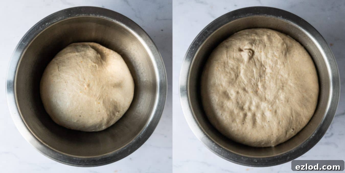 Step 3 - letting the dough rise.