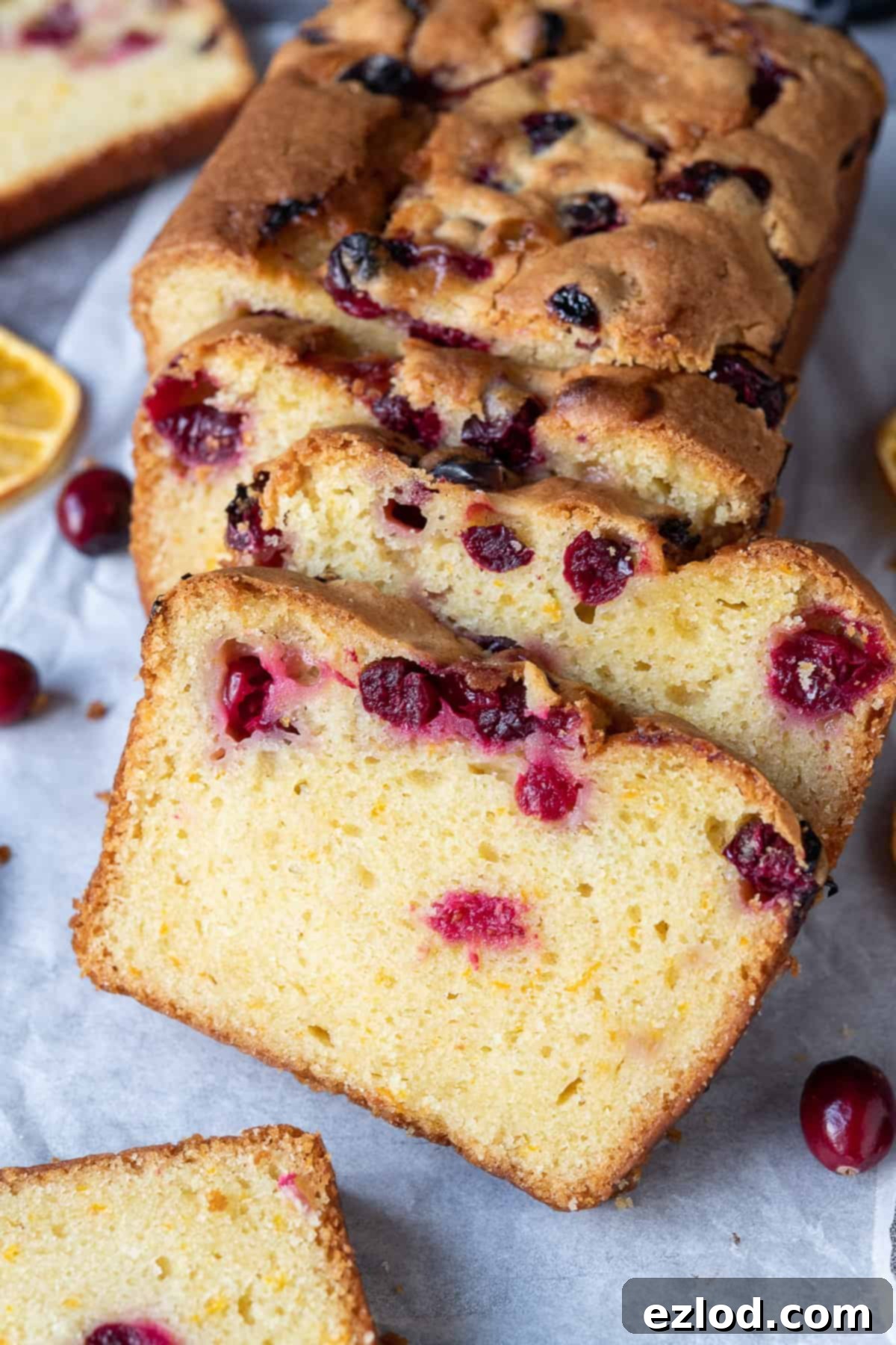 Close up of slices of orange cranberry cake, showing moist crumb and cranberries.