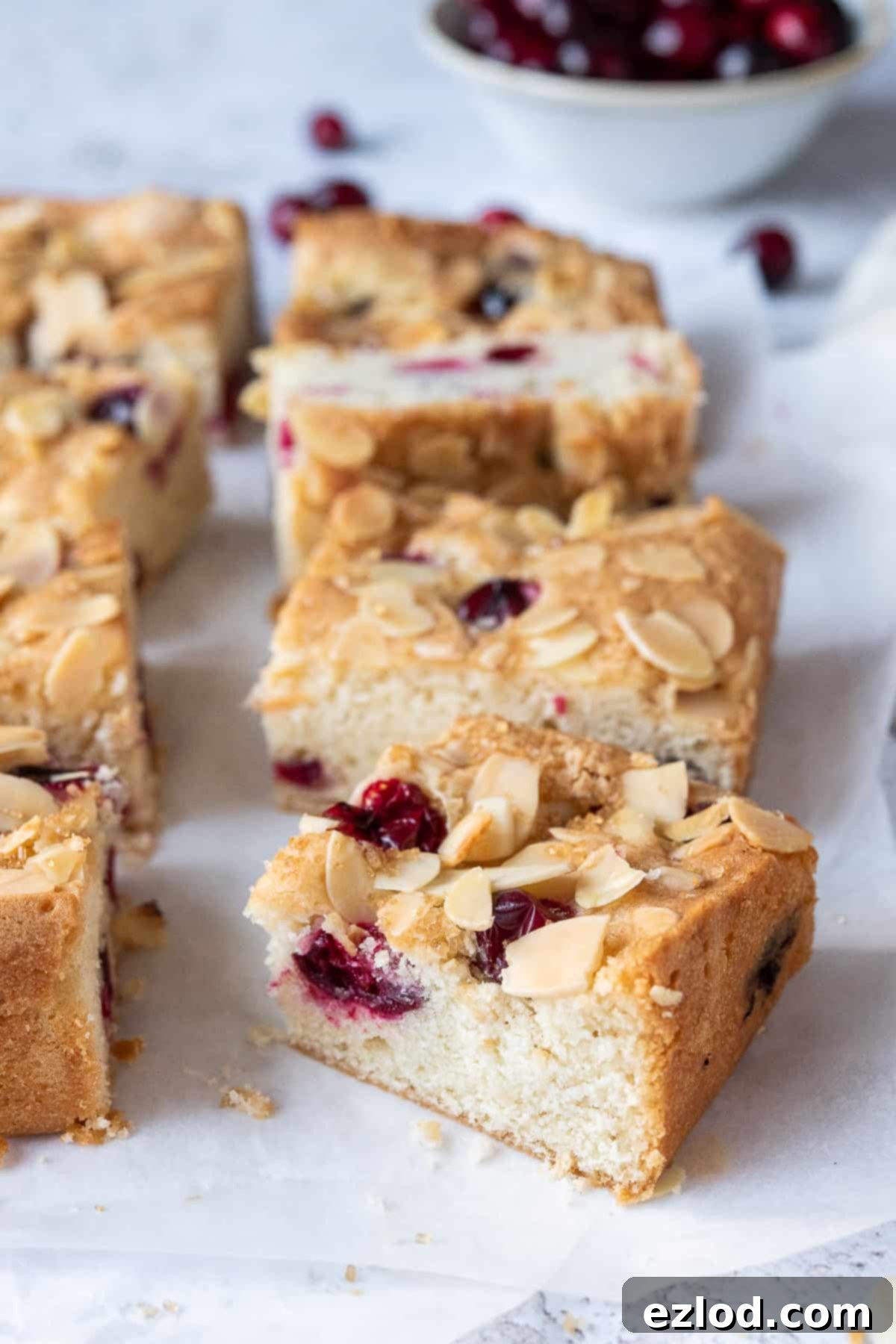 Close up of a square of cranberry almond cake with a bowl of cranberries in the background.