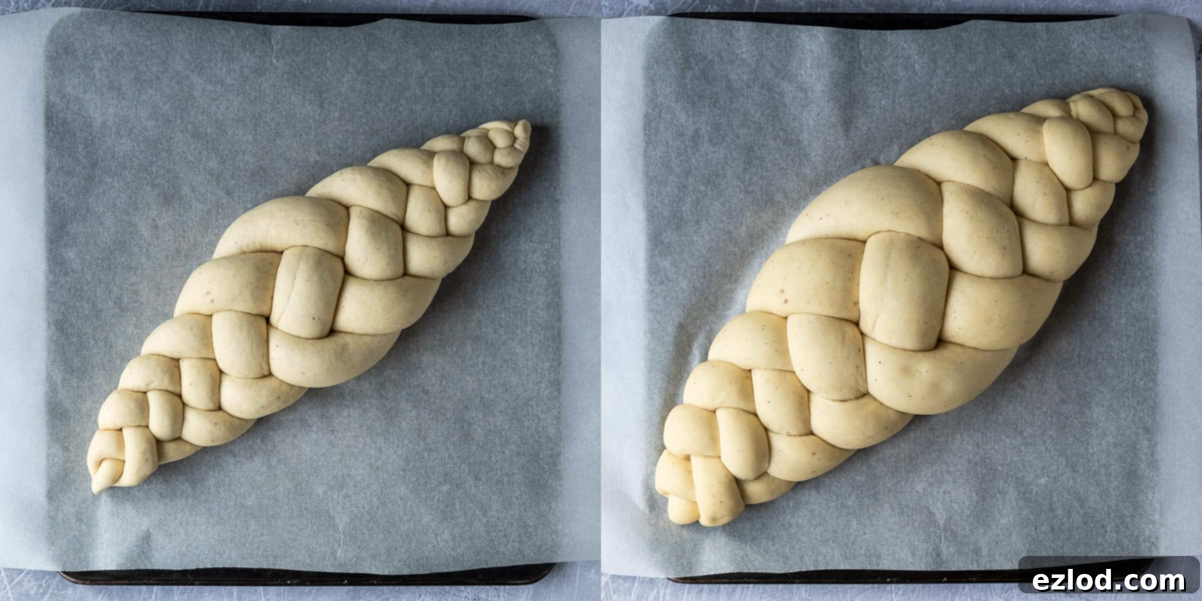 A two-image collage showing the braided vegan pulla loaf during its second rise, covered lightly on a baking sheet, and then beautifully proofed and puffy, ready for baking.