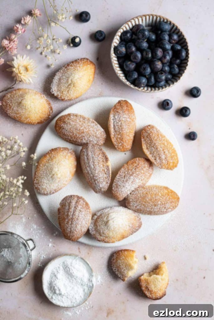 A stunning plate of freshly baked vegan Madeleines with a delicate lemon glaze, presented on a white plate with a bowl of fresh blueberries, dried flowers, and icing sugar on a chic marble surface.