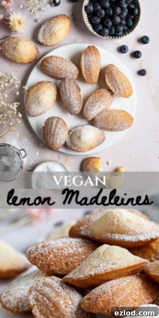 A Pinterest-optimized collage image showcasing beautiful vegan Madeleines with lemons and blueberries, emphasizing the keywords 'vegan baking,' 'vegan cake,' and 'eggless' for easy sharing.