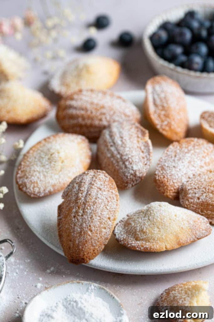 A beautiful arrangement of vegan Madeleines on a white plate, subtly dusted with icing sugar, with a bowl of fresh blueberries providing a vibrant backdrop.