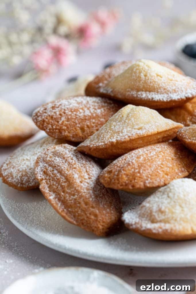 A close-up shot of a perfect pile of golden-brown vegan Madeleine cakes, showcasing their classic shell shape and signature hump.