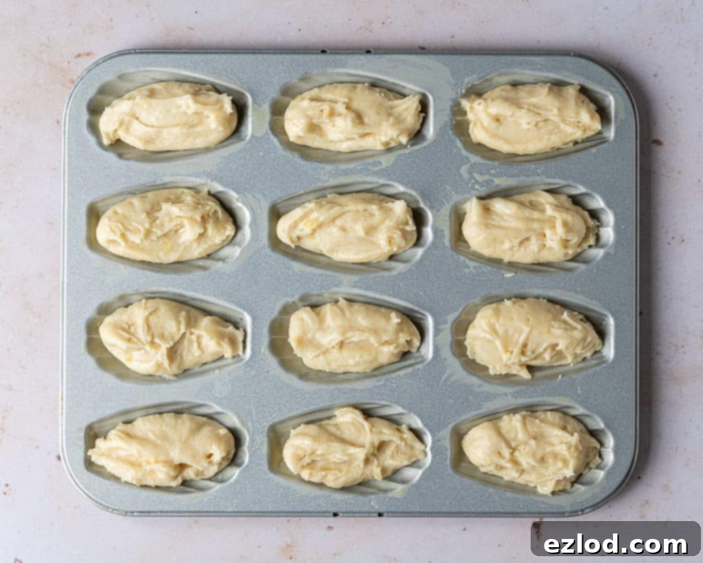 Step-by-step image showing vegan Madeleine batter being carefully spooned into the shell-shaped depressions of a prepared Madeleine baking tray.