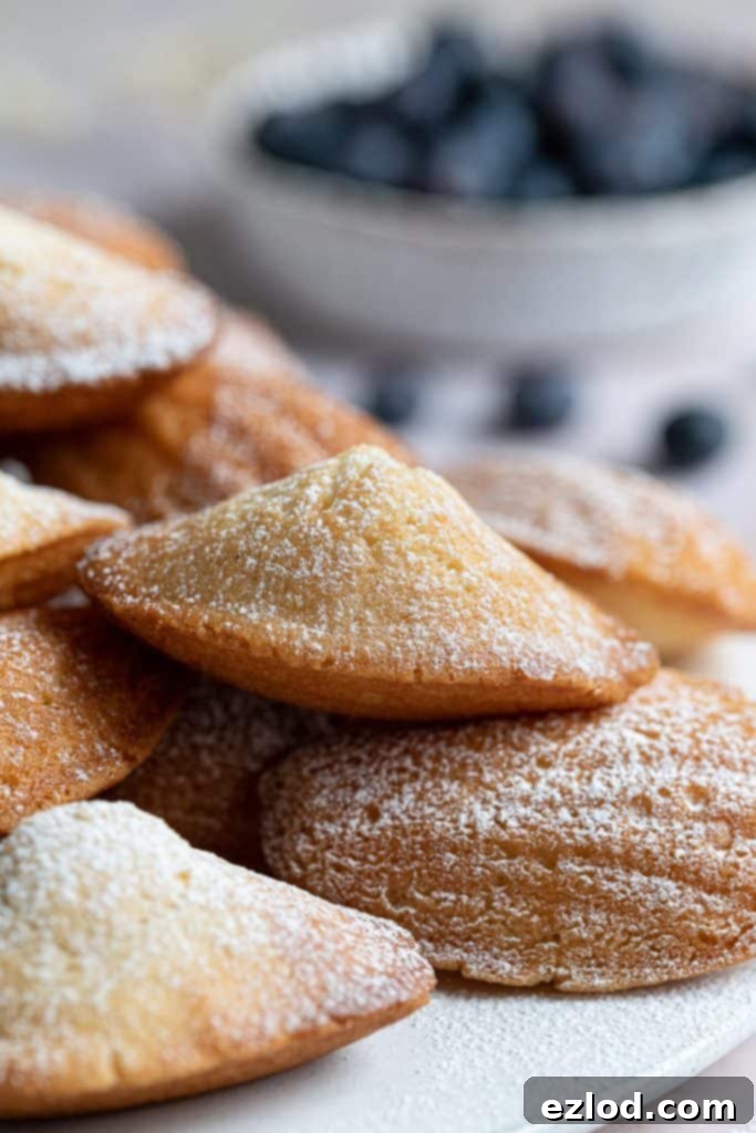 A beautifully detailed close-up of a single vegan Madeleine, showcasing its perfect golden-brown exterior, delicate shell pattern, and iconic hump.