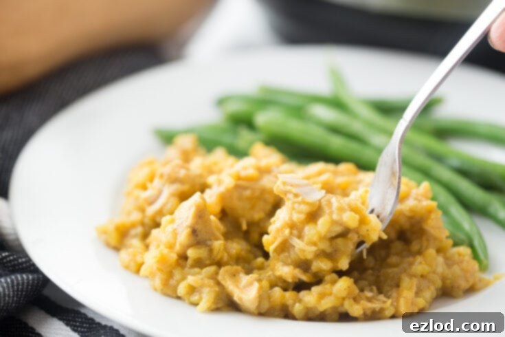 Instant Pot Chicken Curry and Rice