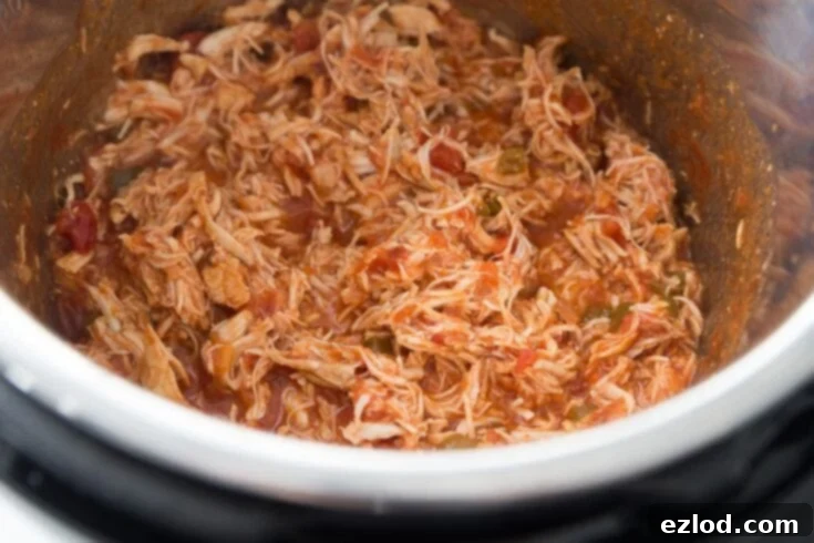 Salsa Lime Chicken