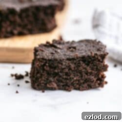 Close up of healthy brownies made with coconut flour.