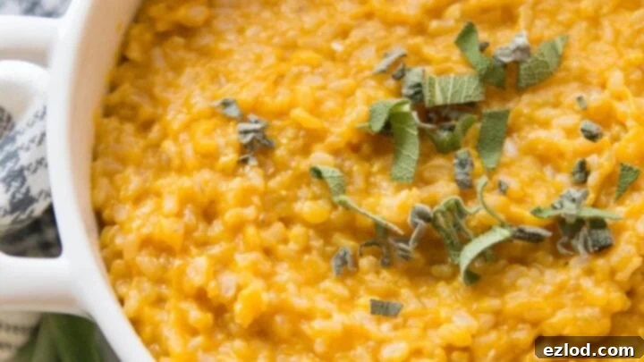 Creamy Instant Pot Butternut Squash Risotto, a rich and comforting side.