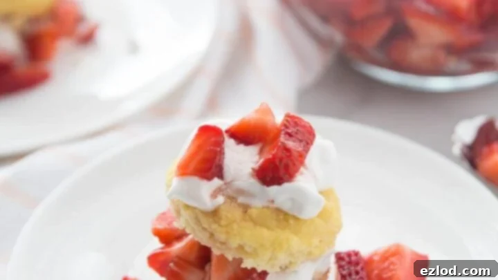 Layers of light biscuits, fresh strawberries, and whipped cream in a Healthy Strawberry Shortcake.