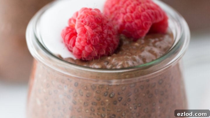 Smooth Chocolate Chia Pudding topped with fresh raspberries and coconut whip.