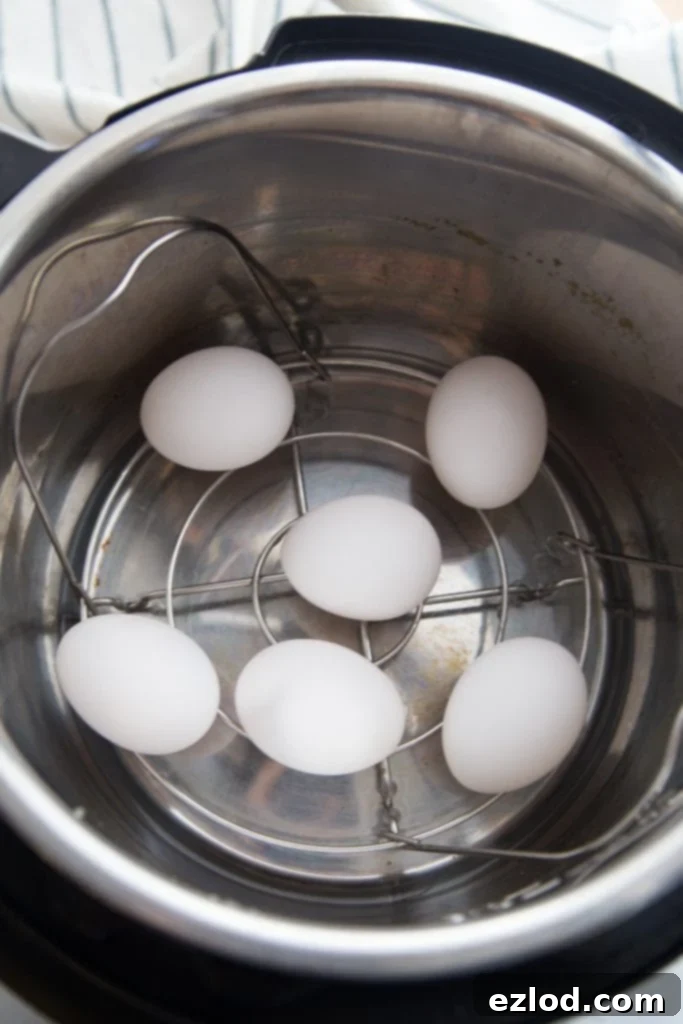Overhead photo of a metal trivet holding eggs neatly arranged inside an Instant Pot, ready for cooking.