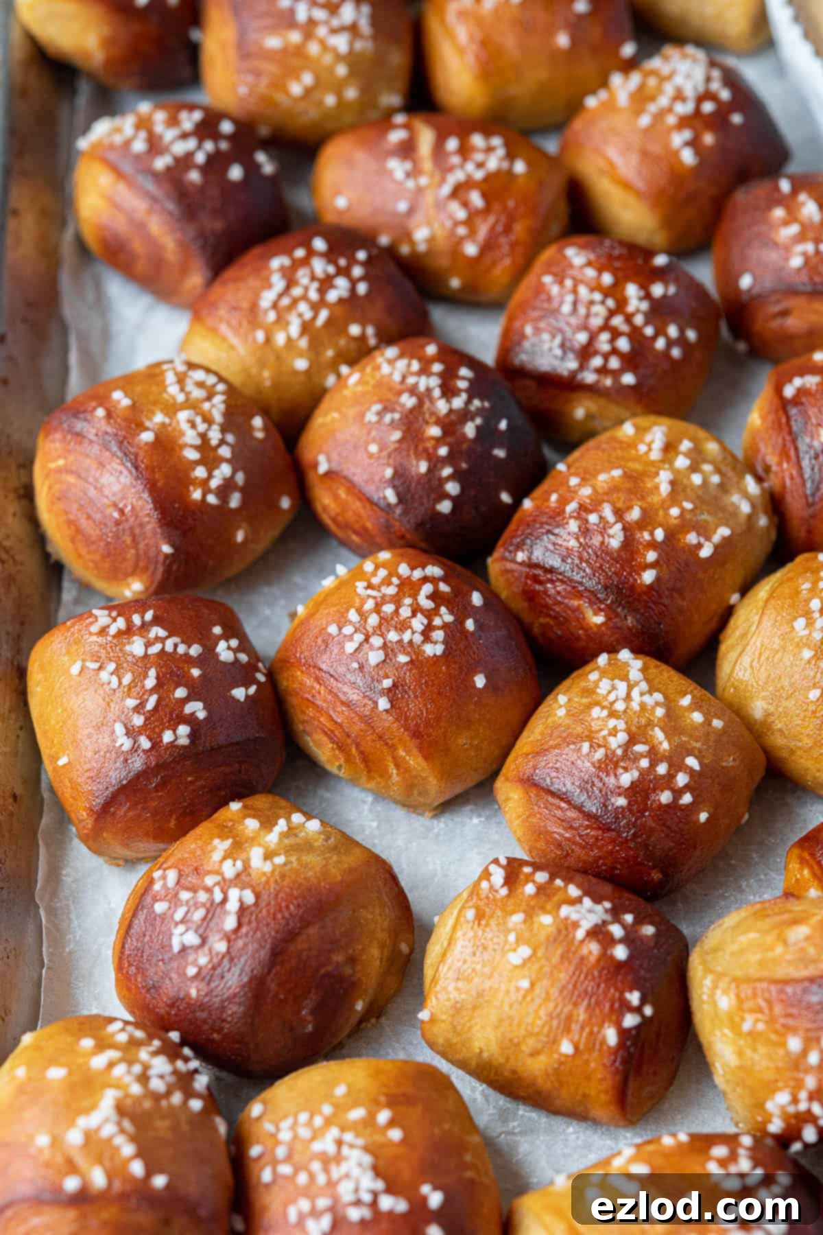 Close up of vegan pretzel bites.