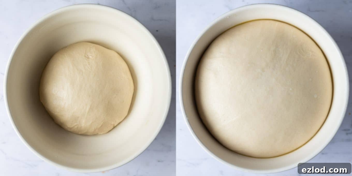 step 2 - letting the dough rise
