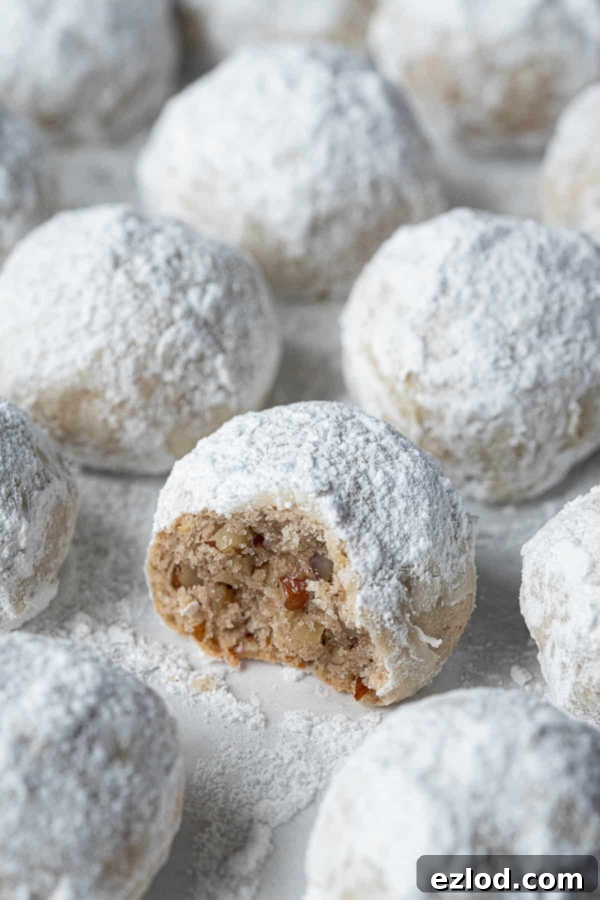 Classic Vegan Pecan Snowball Cookies 13 Close-up of a vegan pecan snowball cookie with a bite taken out, showing the tender crumb and nutty filling, perfectly coated in powdered sugar.