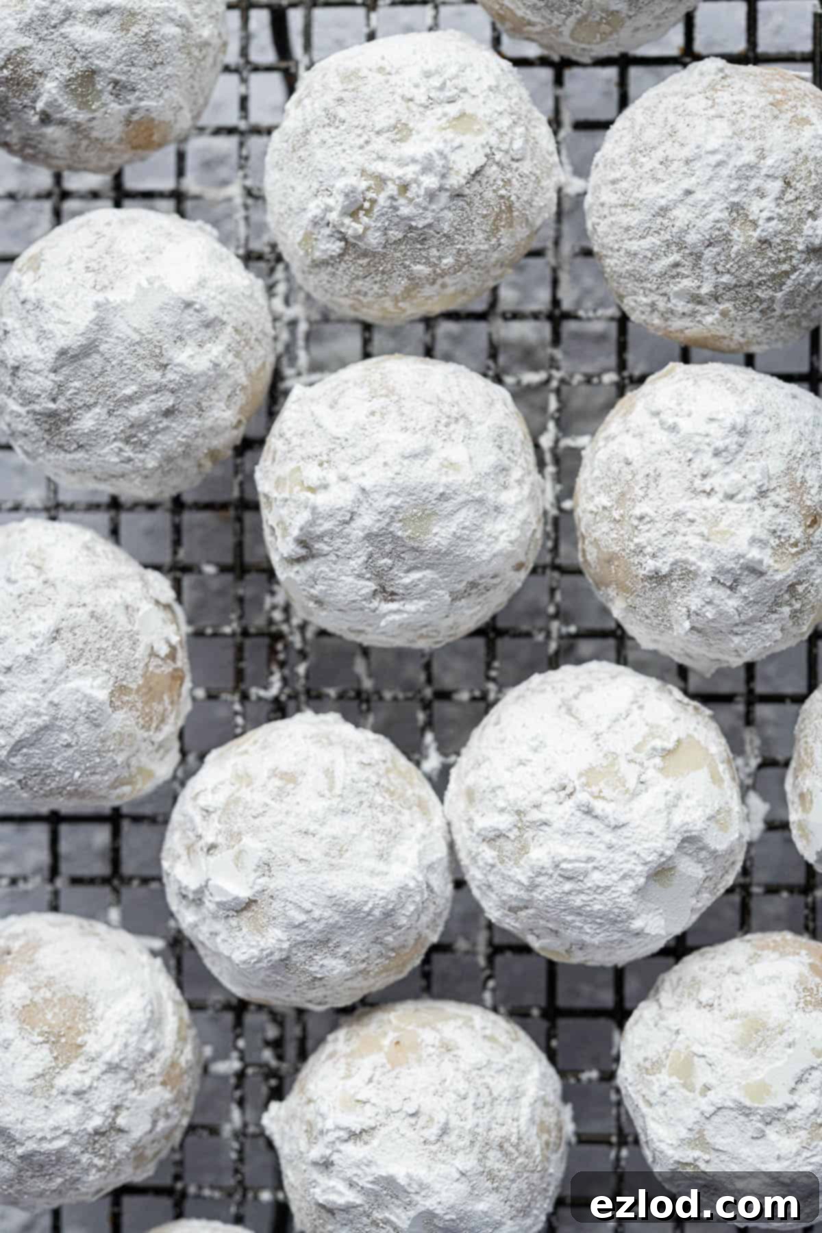 Classic Vegan Pecan Snowball Cookies 4 A collection of freshly baked vegan pecan snowball cookies dusted with powdered sugar, arranged neatly on a wire cooling rack.
