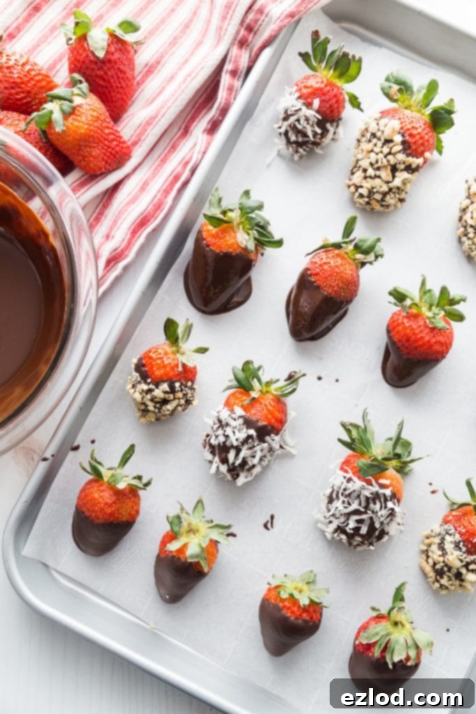 An inviting overhead photo of rows of perfectly chocolate-covered strawberries, glistening on a parchment-lined baking sheet, ready to be served as a delightful brunch dessert.