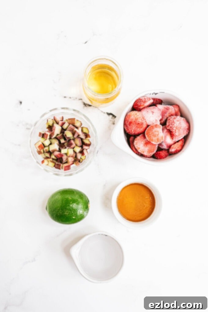 A flat lay shot of the fresh ingredients for Frozen Strawberry Rhubarb Margaritas, including a pile of frozen chopped rhubarb, a bowl of frozen strawberries, fresh limes, a bottle of tequila, and a jar of honey, arranged neatly on a light background.