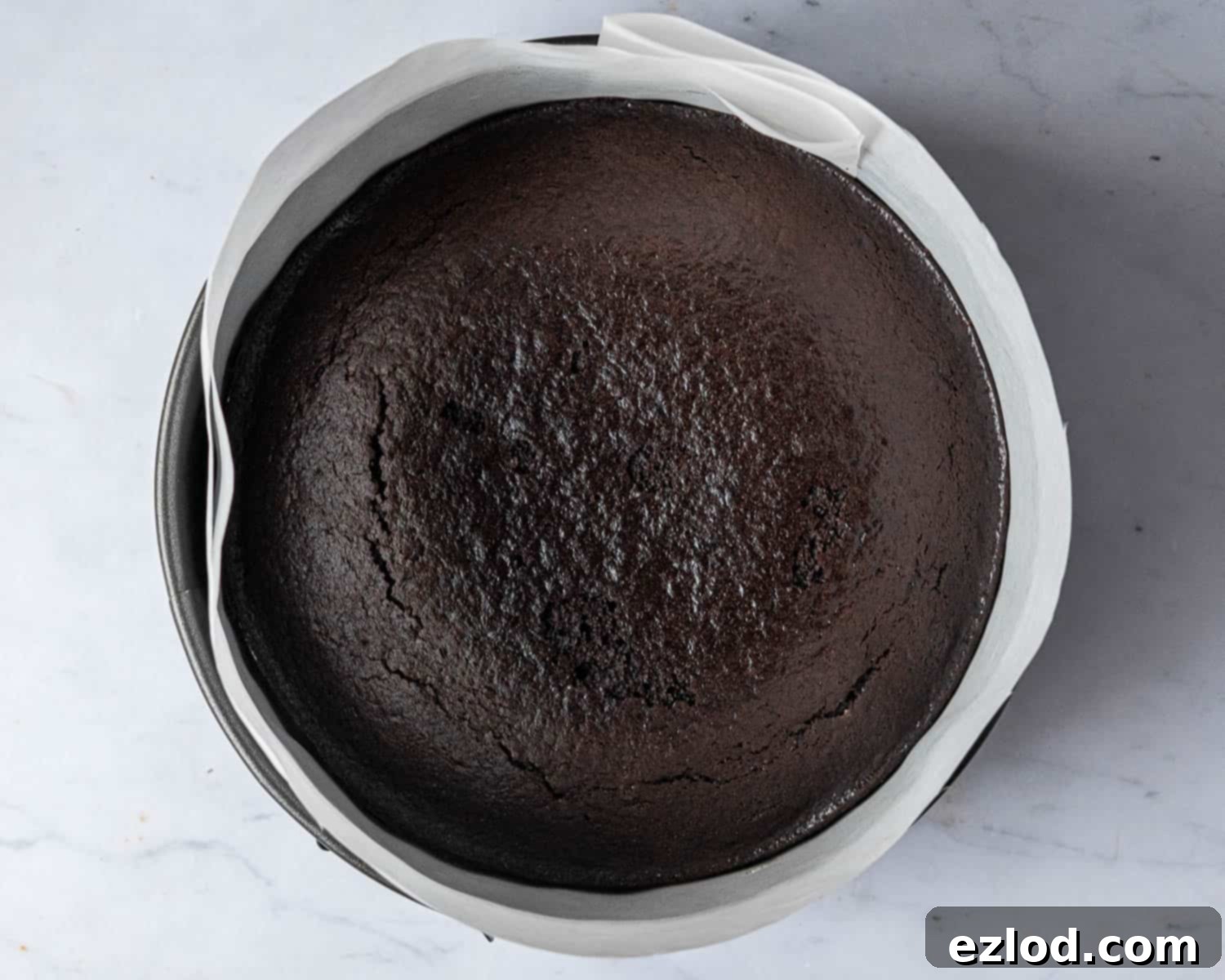 The cooled chocolate cake placed back into the springform tin, now lined with a tall acetate collar, ready for the first mousse layer.
