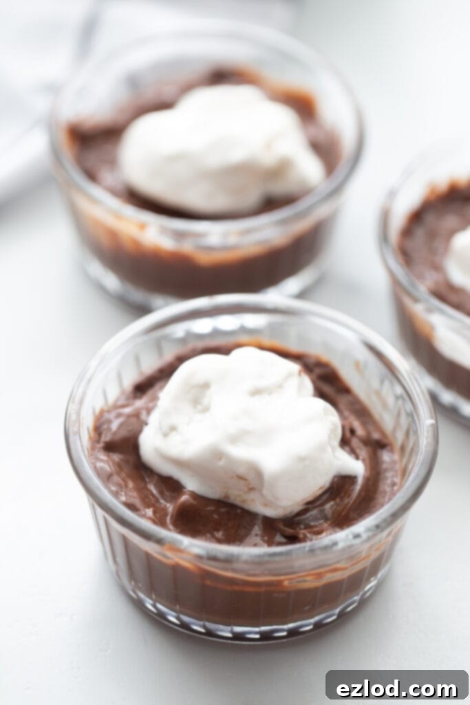 Overhead shot of rich homemade vegan chocolate pudding in individual ramekins, elegantly topped with fluffy dairy-free whipped cream, ready to be enjoyed.