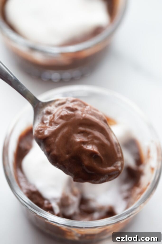 A close-up shot of a spoon dipping into a creamy, luscious homemade vegan chocolate pudding, showcasing its perfect texture and rich color.