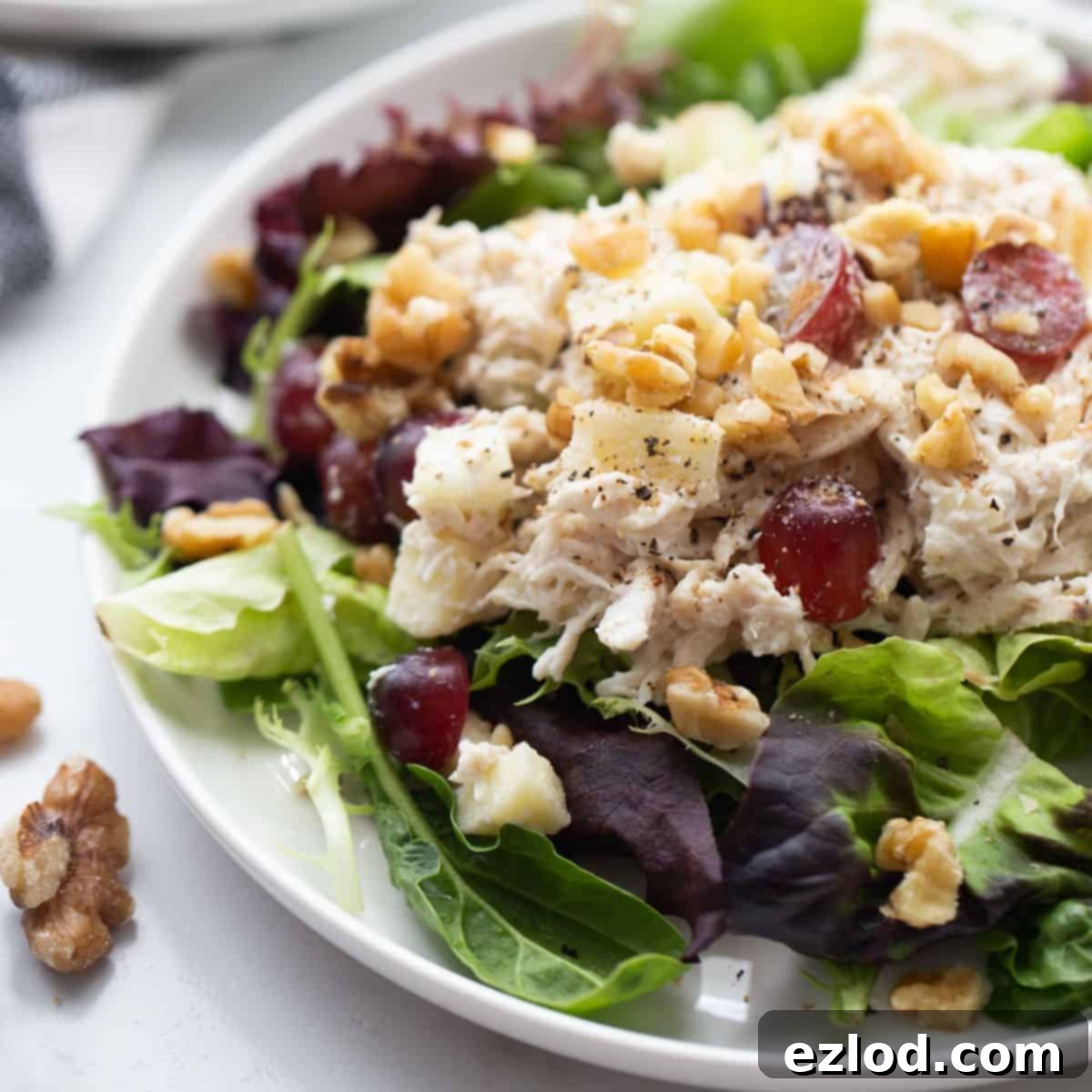 Ultimate Healthy Grape Chicken Salad Recipe 2 A beautifully arranged plate of healthy chicken salad with grapes, served over a bed of fresh lettuce, ready to be enjoyed.