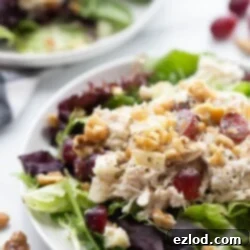 Ultimate Healthy Grape Chicken Salad Recipe 11 Healthy Chicken Salad with Grapes