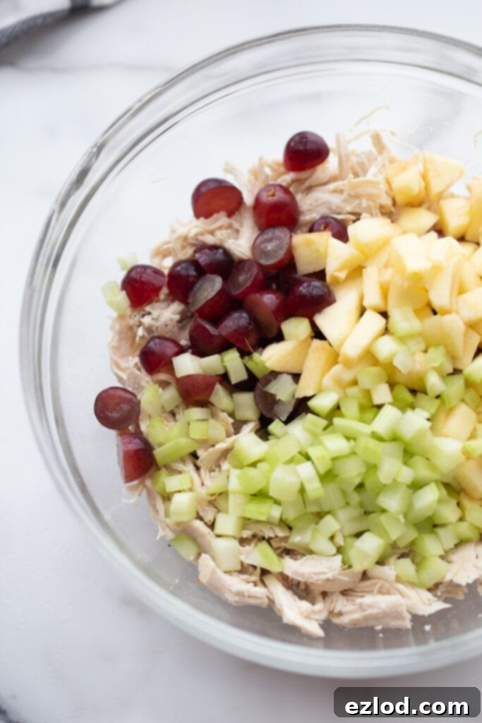 Ultimate Healthy Grape Chicken Salad Recipe 6 A large mixing bowl filled with shredded chicken, halved red grapes, diced Granny Smith apples, and chopped celery, ready for the dressing.