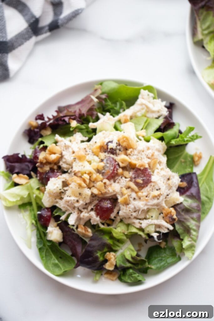 Ultimate Healthy Grape Chicken Salad Recipe 9 A serving of healthy chicken salad with grapes, elegantly presented on a plate over a bed of fresh mixed greens, showcasing its appeal.